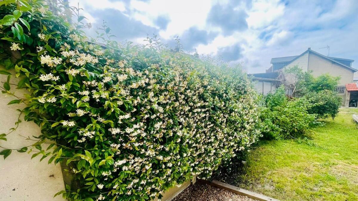 Holiday home Bubble Lh Urban Oasis Le Havre